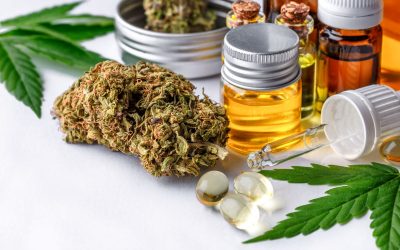 Cannabis sector eager to expand tourism market